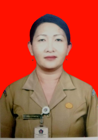 Ni Luh Gede Anggraeni L.R.P, S.KM,M.Kes